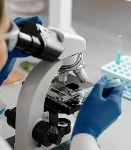 Research & Development
